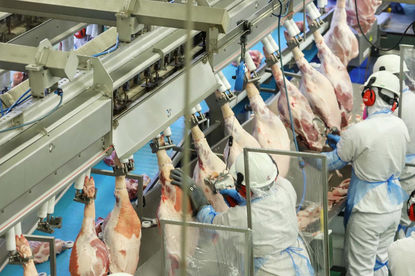 EXPORTAÇÕES DE CARNE SUÍNA, FRANGOS E AUTOMÓVEIS DO PARANÁ SALTAM MAIS DE 20% EM 2025