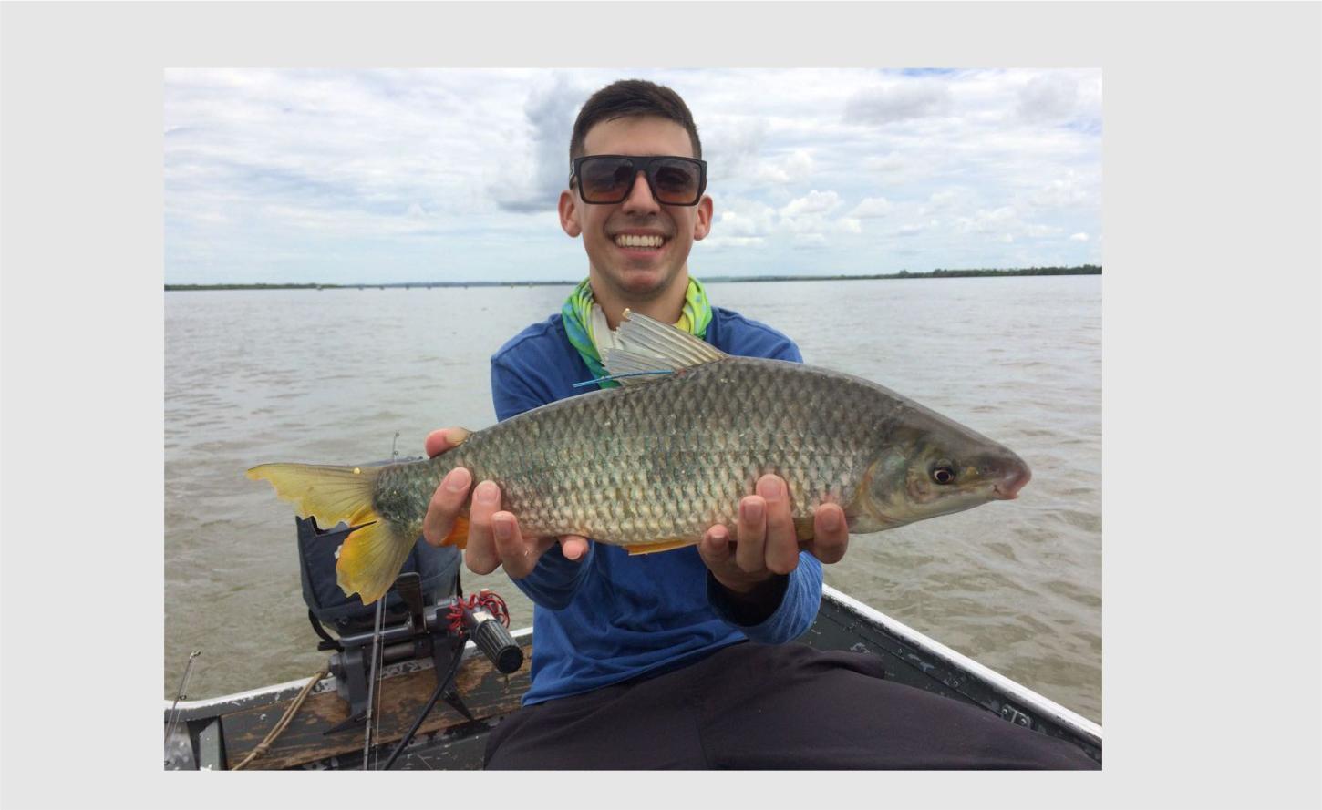 MONITORAMENTO DE PEIXES PELA ITAIPU CONFIRMA BOA QUALIDADE AMBIENTAL DO RESERVATÓRIO