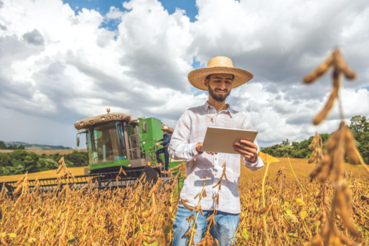 SICREDI DISPONIBILIZA R$ 68 BILHÕES NO PLANO SAFRA 2025/2026