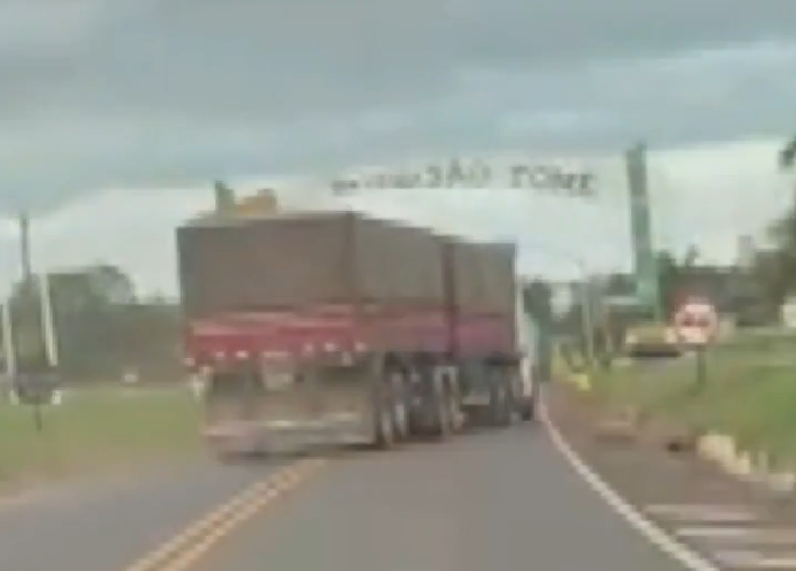 MOTORISTA DE CAMINHÃO É PICADO POR ABELHA, PASSA MAL E SE ENVOLVE EM ACIDENTE