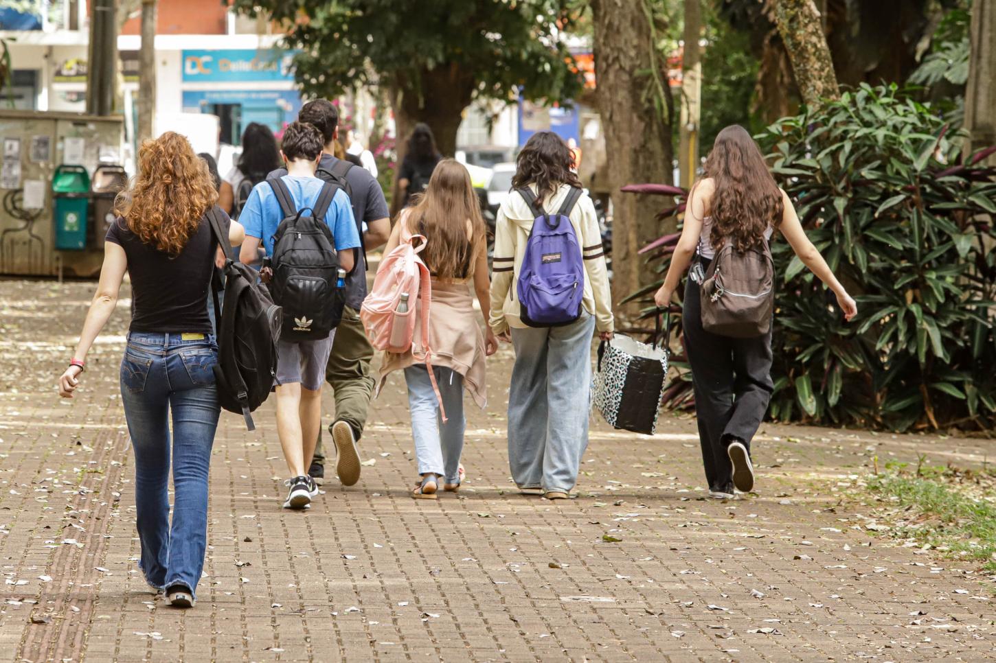 DIMINUI O NÚMERO DE JOVENS QUE NÃO TRABALHAM NEM ESTUDAM NO PARANÁ, APONTA IBGE