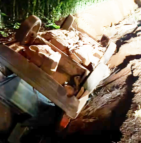 CAPOTAMENTO É REGISTRADO NA PR-495 EM SERRANÓPOLIS DO IGUAÇU