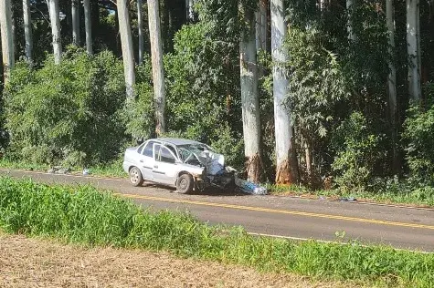 MULHER MORRE E TRÊS PESSOAS FICAM FERIDAS APÓS CARRO BATER EM ÁRVORE NA SC-16