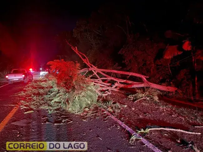 QUEDA DE ÁRVORE ATINGE CARRO E INTERDITA PARCIALMENTE A PR-317 ENTRE SANTA HELENA E SUB-SEDE