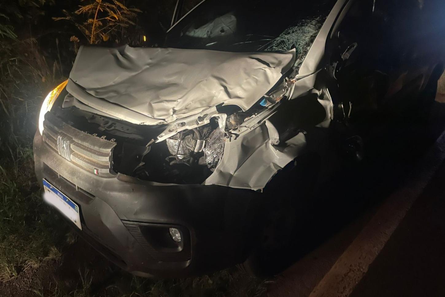 CARRO COLIDE COM VACA NA PR-495 ENTRE MISSAL E MEDIANEIRA