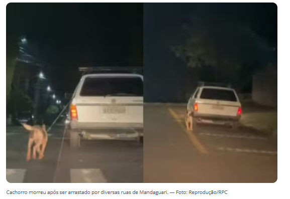 MOTORISTA É PRESO APÓS ARRASTAR CACHORRO ATÉ A MORTE NO PARANÁ