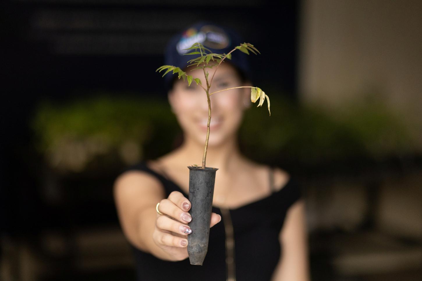 Mais de 80% da população reconhece a empresa como ambientalmente sustentável. Foto: Jony Faller/Itaipu Binacional.
