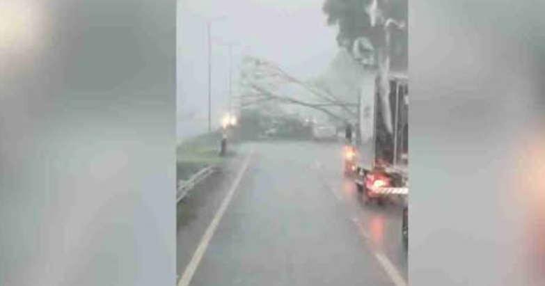 TEMPORAL DERRUBA ÁRVORES E BLOQUEIA BR-277 EM SANTA TEREZINHA DE ITAIPU
