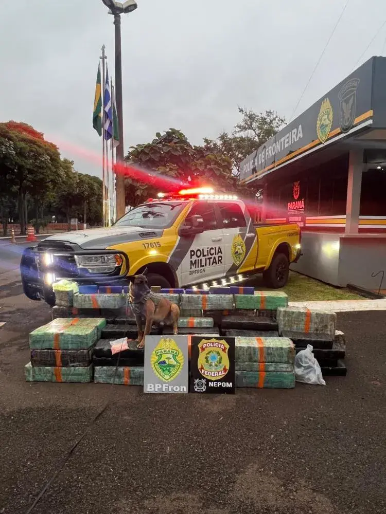 AÇÃO CONJUNTA APREENDE MAIS DE 930 QUILOS DE MACONHA EM SANTA HELENA