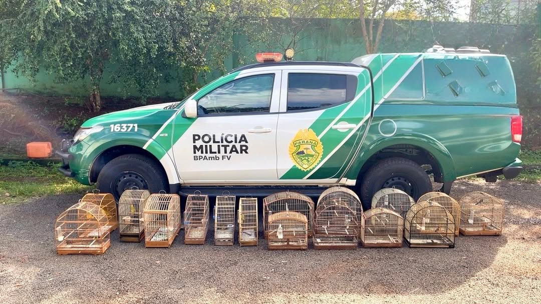 POLÍCIA AMBIENTAL AUTUA HOMEM POR MANTER 16 AVES SILVESTRES EM CATIVEIRO IRREGULAR EM MEDIANEIRA