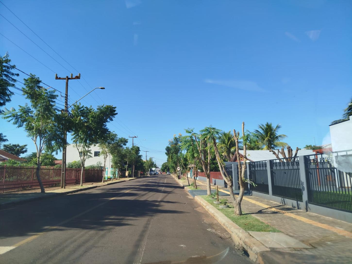 PODA IRREGULAR PODE GERAR MULTA DE R$ 4,3 MIL EM ITAIPULÂNDIA
