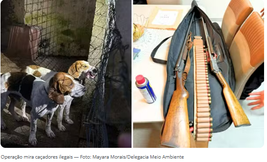 POLÍCIA DESARTICULA GRUPO DE CAÇADORES ILEGAIS E TRAFICANTES DE ARMAS; ITAIPULÂNDIA ESTÁ ENTRE AS CIDADES ALVO