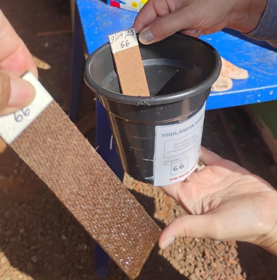 ITAIPULÂNDIA REGISTRA REDUÇÃO NOS FOCOS DO AEDES AEGYPTI, MAS ALERTA CONTINUA
