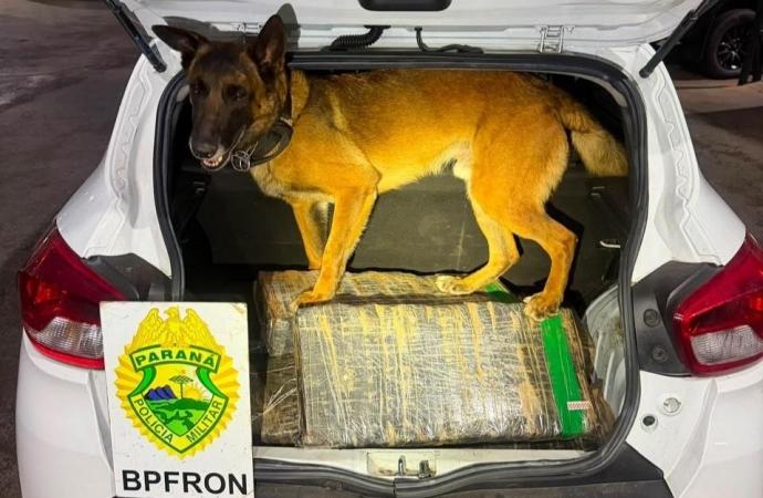 HOMEM CARREGA DROGA EM SANTA HELENA E ACABA PRESO EM OURO VERDE DO OESTE
