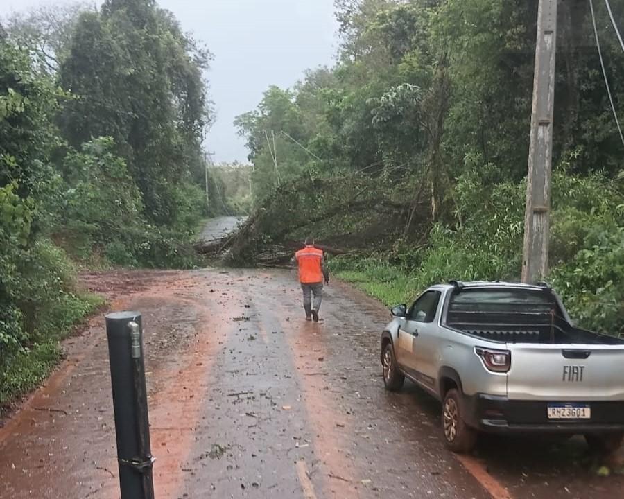 FORTES VENTOS PROVOCAM QUEDA DE GALHOS E MOBILIZAM EQUIPES EM ITAIPULÂNDIA