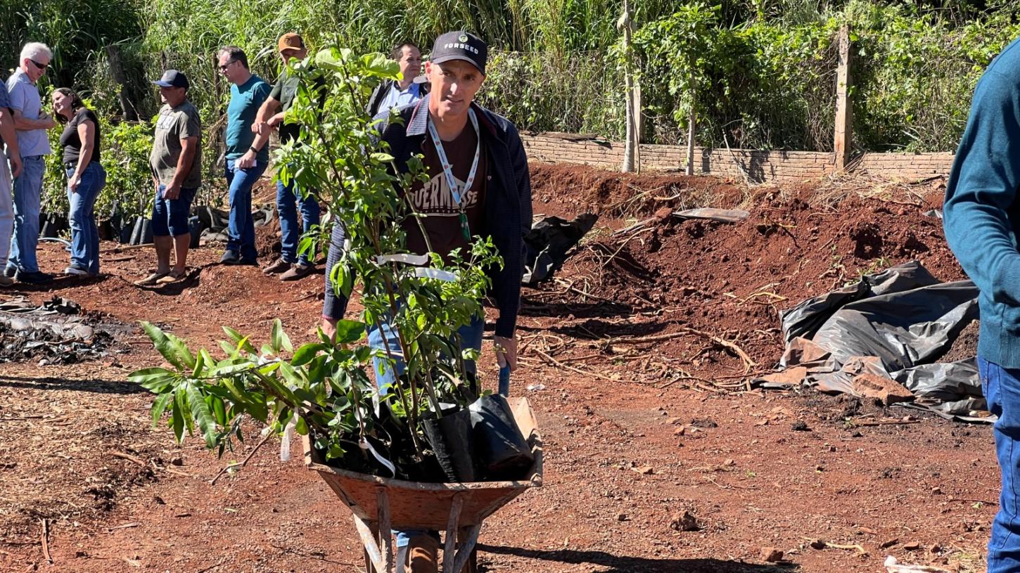 MATELÂNDIA REALIZA ENTREGA DE MUDAS FRUTÍFERAS PELO PROGRAMA POMAR DA FAMÍLIA