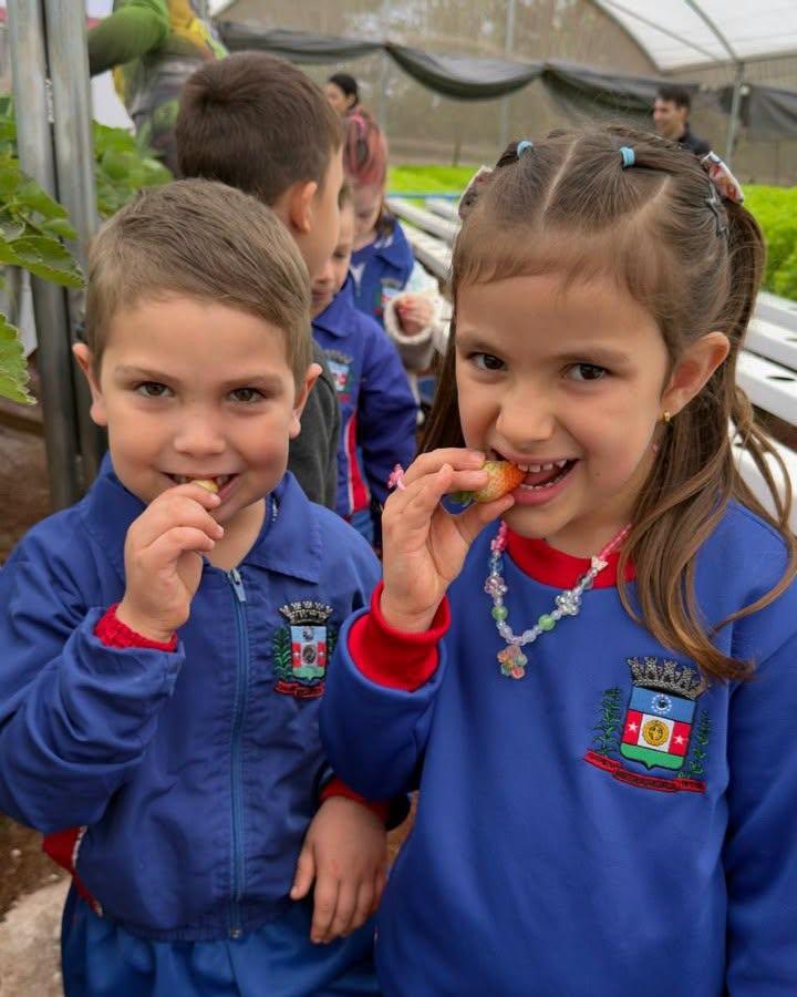 PÉ NA TERRA: ALUNOS DE MEDIANEIRA CONHECEM DE PERTO A ORIGEM DOS ALIMENTOS DA MERENDA ESCOLAR