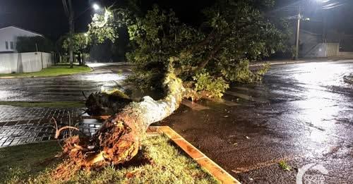  TEMPESTADE PROVOCA ALAGAMENTOS, DESTELHAMENTOS E QUEDA DE ÁRVORES EM SÃO MIGUEL DO IGUAÇU