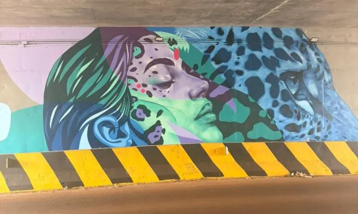 ARTE URBANA DESTACA ONÇA-PINTADA E REFORÇA IDENTIDADE AMBIENTAL DE MATELÂNDIA
