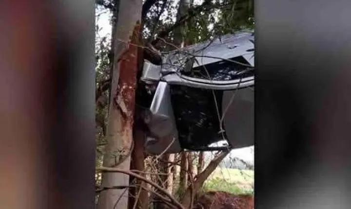 CARRO SAI DA PISTA E FICA PENDURADO EM ÁRVORE ÀS MARGENS DA PR-542, NO PARANÁ