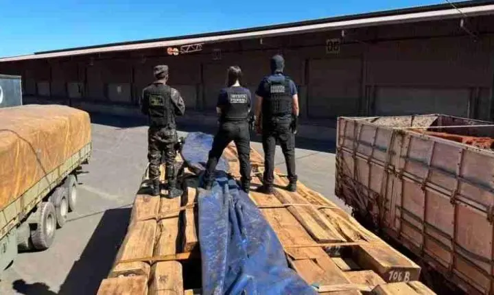 COCAÍNA EM MADEIRA: OPERAÇÃO NA FRONTEIRA FAZ A MAIOR APREENSÃO DO PAÍS, SEGUNDO ESTIMATIVA DA RECEITA