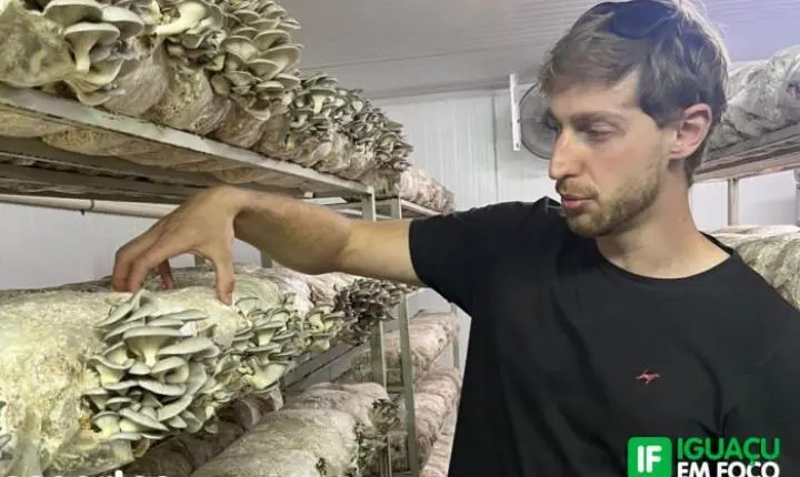 DE ATLETA DE ELITE A PRODUTOR SUSTENTÁVEL: A REVIRAVOLTA DE LUCAS KEHL BAUER NO CORAÇÃO DE NOVA PETRÓPOLIS - RS