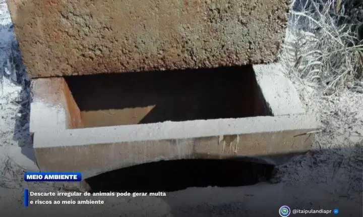 DESCARTE DE ANIMAIS EM LOCAL IRREGULAR PODE DAR MULTA E COLOCAR A SAÚDE DA POPULAÇÃO EM RISCO EM ITAIPULÂNDIA