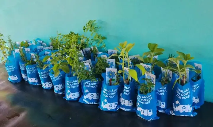 EDUCAÇÃO AMBIENTAL LEVA ALUNOS AO VIVEIRO MUNICIPAL DE SÃO JOSÉ DO ITAVÓ