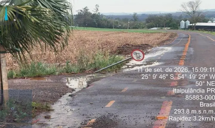 FORTES VENTOS PROVOCAM QUEDA DE GALHOS E MOBILIZAM EQUIPES EM ITAIPULÂNDIA