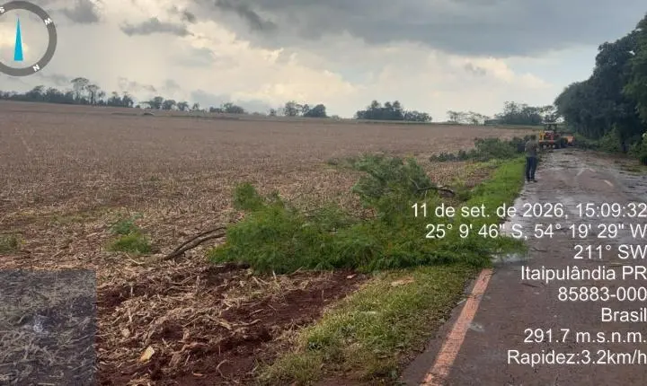 FORTES VENTOS PROVOCAM QUEDA DE GALHOS E MOBILIZAM EQUIPES EM ITAIPULÂNDIA