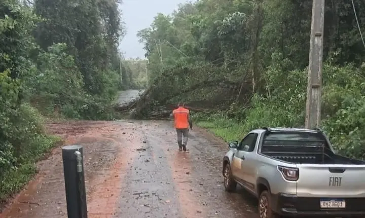 FORTES VENTOS PROVOCAM QUEDA DE GALHOS E MOBILIZAM EQUIPES EM ITAIPULÂNDIA