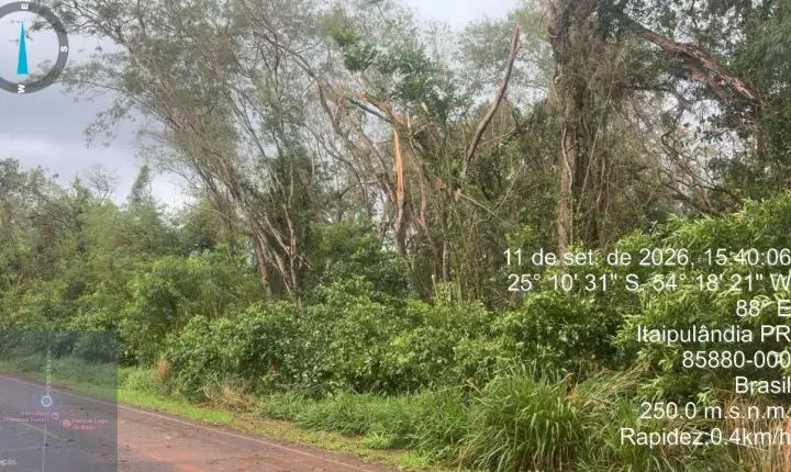 FORTES VENTOS PROVOCAM QUEDA DE GALHOS E MOBILIZAM EQUIPES EM ITAIPULÂNDIA