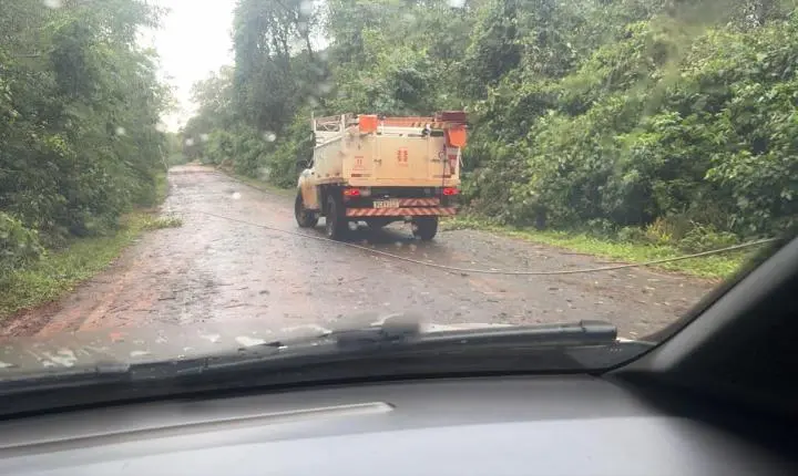 FORTES VENTOS PROVOCAM QUEDA DE GALHOS E MOBILIZAM EQUIPES EM ITAIPULÂNDIA