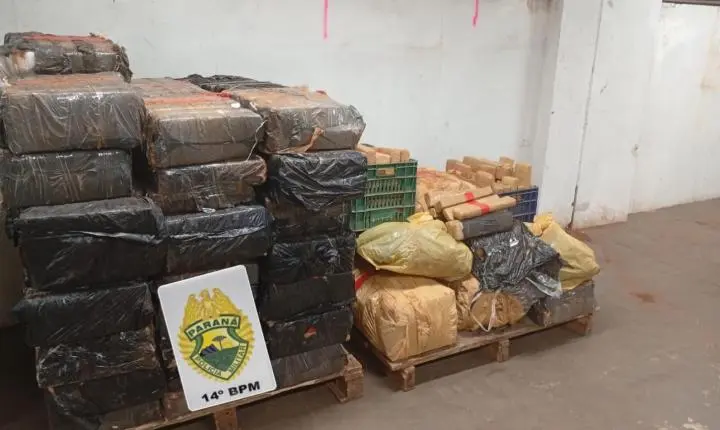 FOZ DO IGUAÇU: POLÍCIA MILITAR APREENDE 882 KG DE MACONHA EM ÁREA RURAL