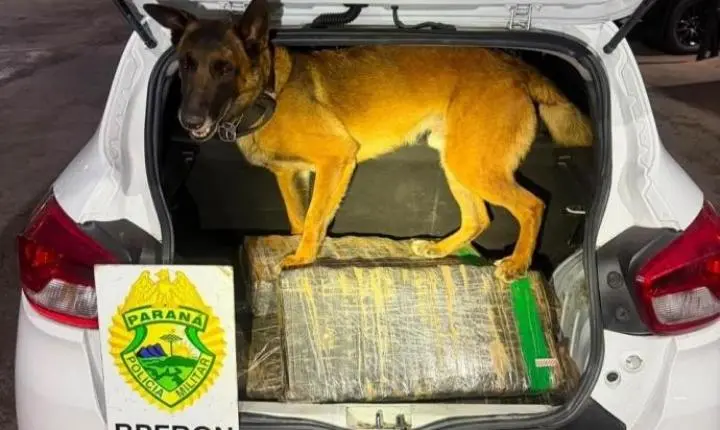 HOMEM CARREGA DROGA EM SANTA HELENA E ACABA PRESO EM OURO VERDE DO OESTE