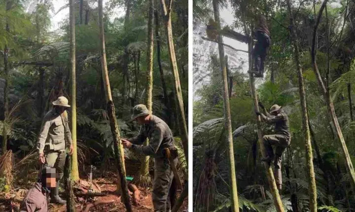 HOMEM É PRESO POR CAÇA ILEGAL NO PARQUE NACIONAL DO IGUAÇU, EM CÉU AZUL