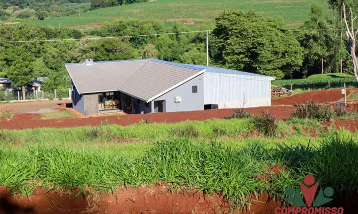 INCENTIVOS DE PROGRAMAS DA SUINOCULTURA EM MISSAL ATRAEM INVESTIMENTOS PARA O MUNICÍPIO