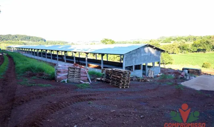 INCENTIVOS DE PROGRAMAS DA SUINOCULTURA EM MISSAL ATRAEM INVESTIMENTOS PARA O MUNICÍPIO
