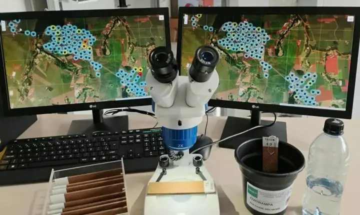 ITAIPULÂNDIA REGISTRA PRESENÇA DO AEDES AEGYPTI EM MONITORAMENTO DE OVITRAMPAS