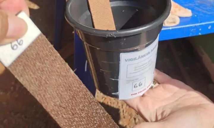 ITAIPULÂNDIA REGISTRA REDUÇÃO NOS FOCOS DO AEDES AEGYPTI, MAS ALERTA CONTINUA