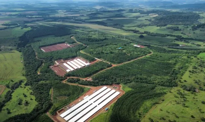 LAR COOPERATIVA INVESTE R$ 90 MILHÕES EM NOVA UNIDADE E AMPLIA GERAÇÃO DE EMPREGOS EM SÃO JOSÉ DAS PALMEIRAS