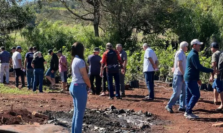 MATELÂNDIA REALIZA ENTREGA DE MUDAS FRUTÍFERAS PELO PROGRAMA POMAR DA FAMÍLIA