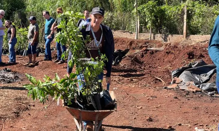 MATELÂNDIA REALIZA ENTREGA DE MUDAS FRUTÍFERAS PELO PROGRAMA POMAR DA FAMÍLIA