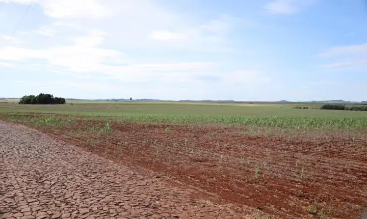 MISSAL DECRETA SITUAÇÃO DE EMERGÊNCIA EM ÁREAS AFETADAS PELA SECA
