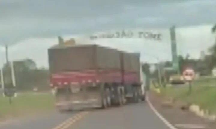 MOTORISTA DE CAMINHÃO É PICADO POR ABELHA, PASSA MAL E SE ENVOLVE EM ACIDENTE