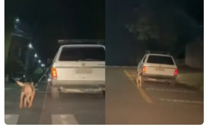 MOTORISTA É PRESO APÓS ARRASTAR CACHORRO ATÉ A MORTE NO PARANÁ