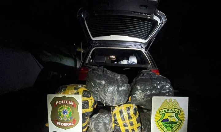 OPERAÇÃO CONJUNTA APREENDE QUASE 100 KG DE DROGA EM FOZ DO IGUAÇU