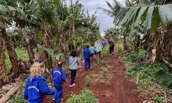 PÉ NA TERRA: ALUNOS DE MEDIANEIRA CONHECEM DE PERTO A ORIGEM DOS ALIMENTOS DA MERENDA ESCOLAR