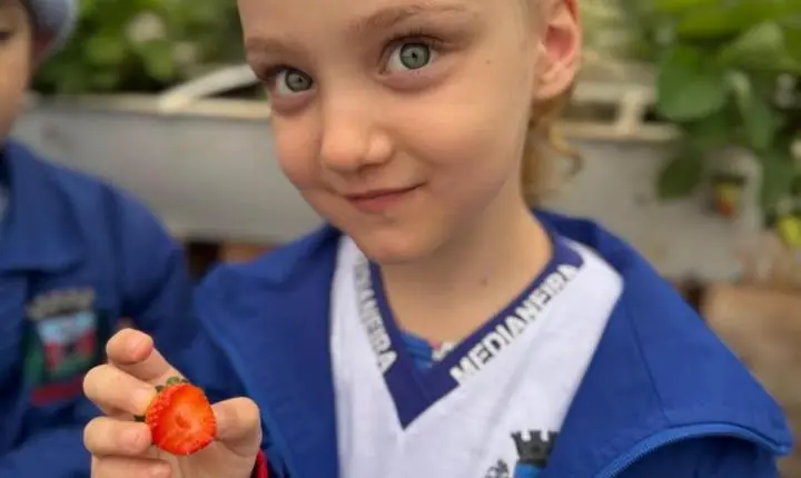 PÉ NA TERRA: ALUNOS DE MEDIANEIRA CONHECEM DE PERTO A ORIGEM DOS ALIMENTOS DA MERENDA ESCOLAR
