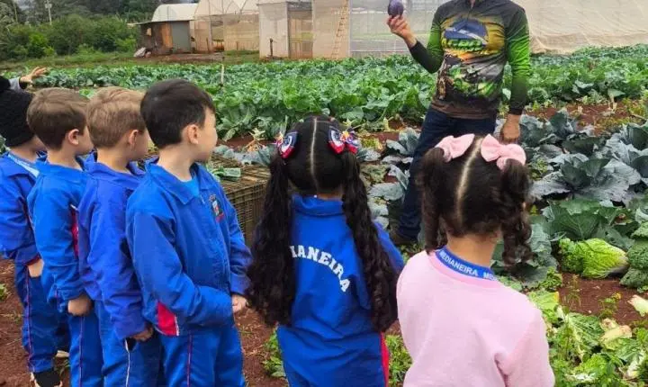 PÉ NA TERRA: ALUNOS DE MEDIANEIRA CONHECEM DE PERTO A ORIGEM DOS ALIMENTOS DA MERENDA ESCOLAR
